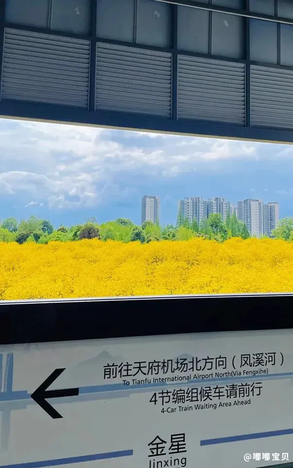 如何设计适合青少年的篮球对抗训练计划_2